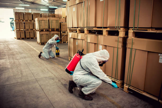 Best Affordable Pest Control Services  in Chewelah, WA