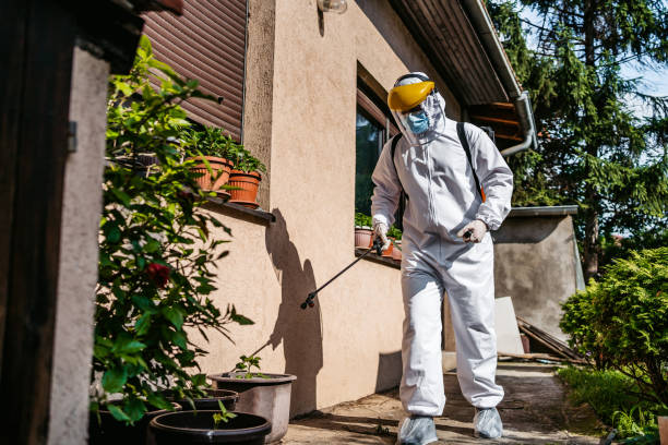 Best Bed Bug Extermination  in Chewelah, WA