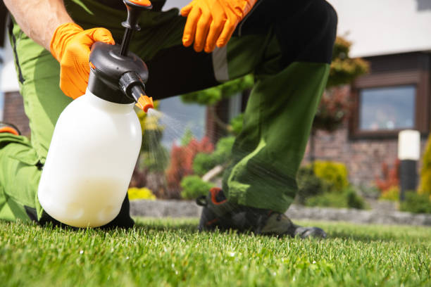Bird Control in Chewelah, WA
