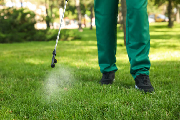 Best Pest Removal Services  in Chewelah, WA