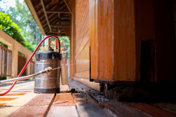 Best Best Pest Control Companies  in Chewelah, WA