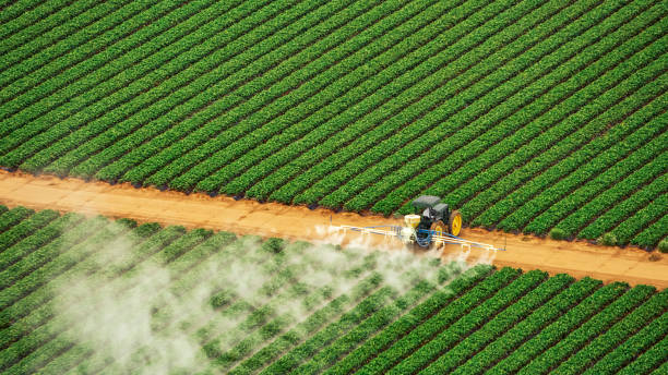 Best Insect Control  in Chewelah, WA