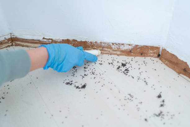 Chewelah, WA Pest Control Company